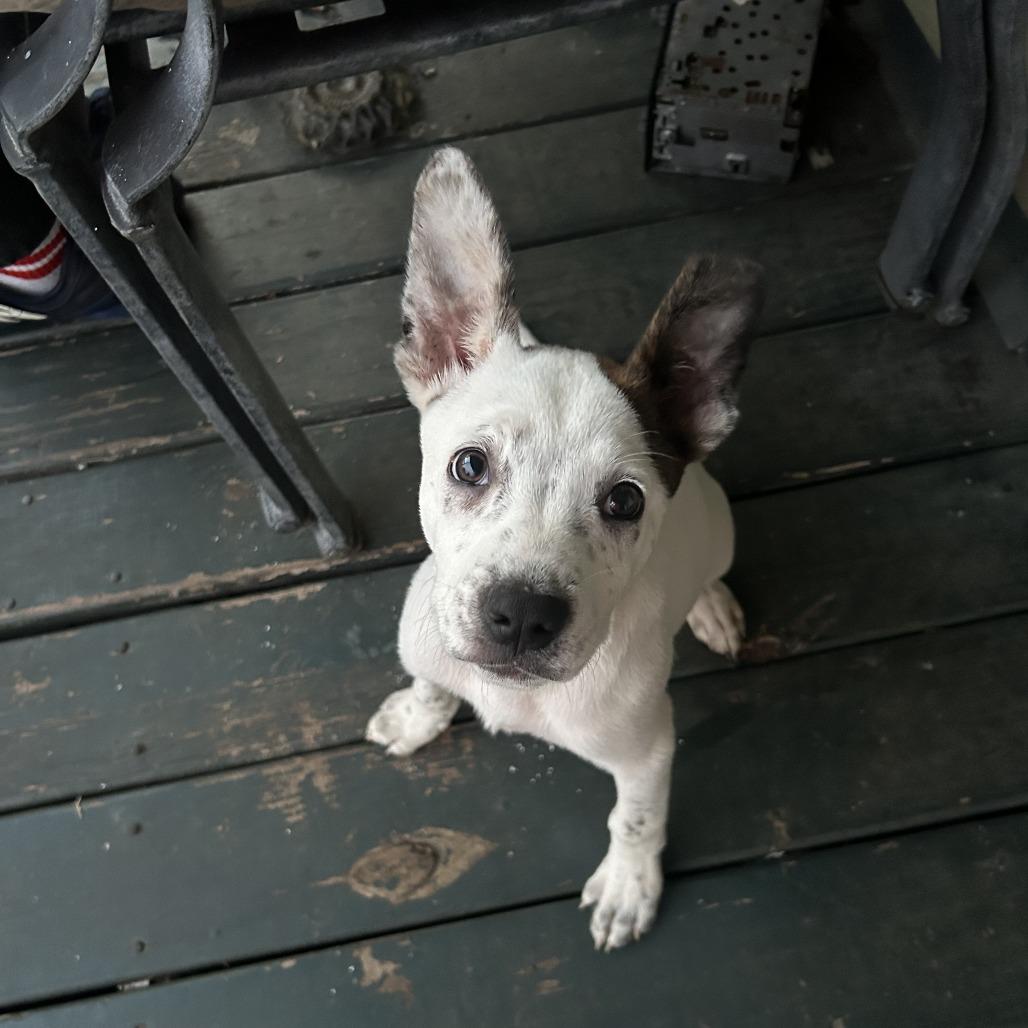 Icecream thumbnail 2