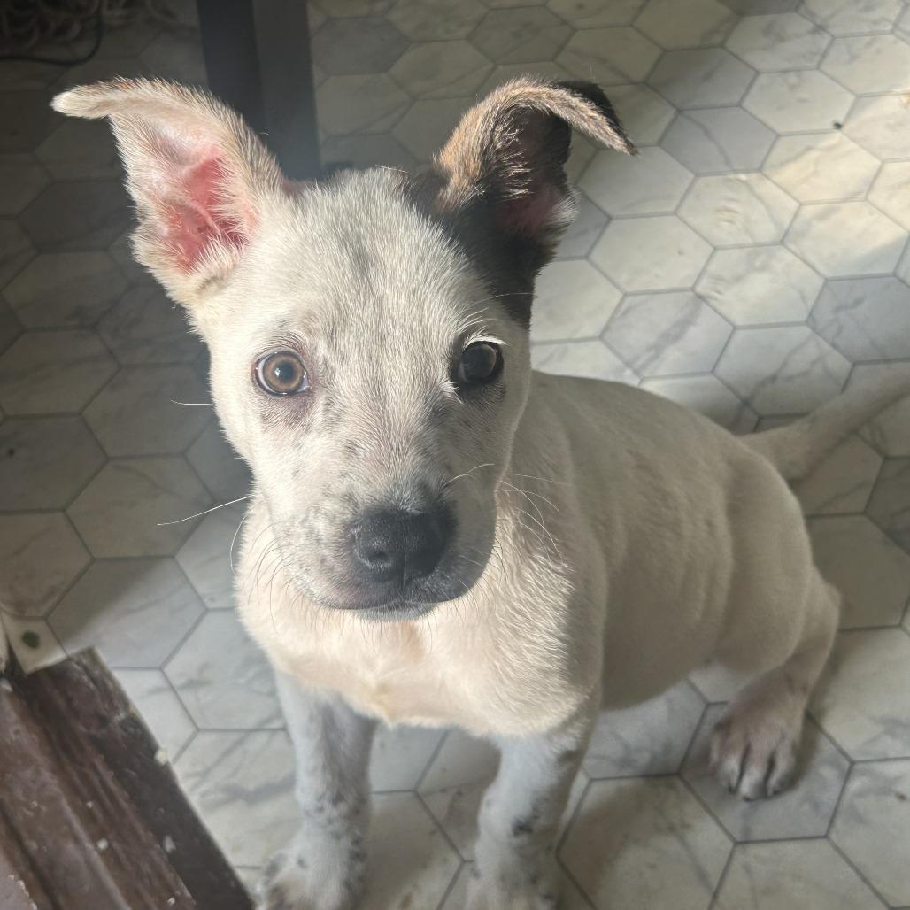 Icecream thumbnail 3