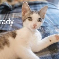 Grady photo 2
