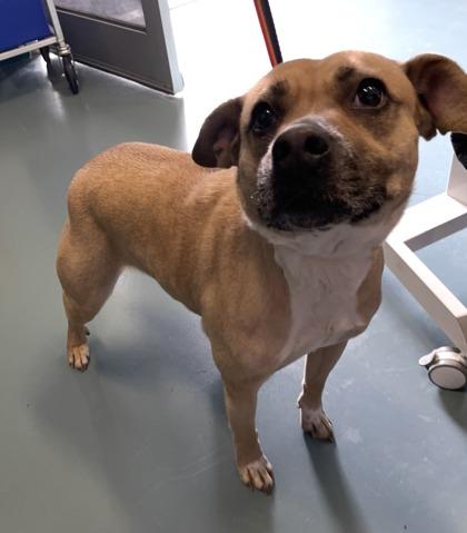 Libby — thumbnail 2