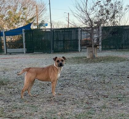 Libby — thumbnail 3