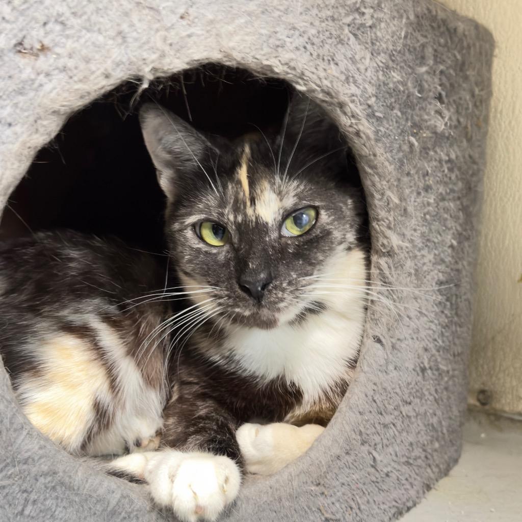 EDEN — thumbnail 2