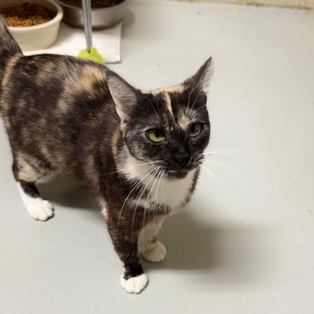 EDEN — thumbnail 3