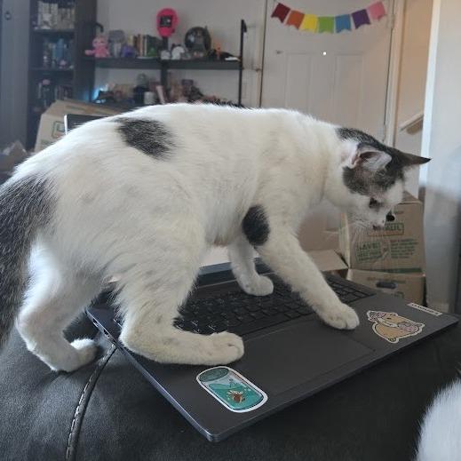 Amber Drop — thumbnail 4