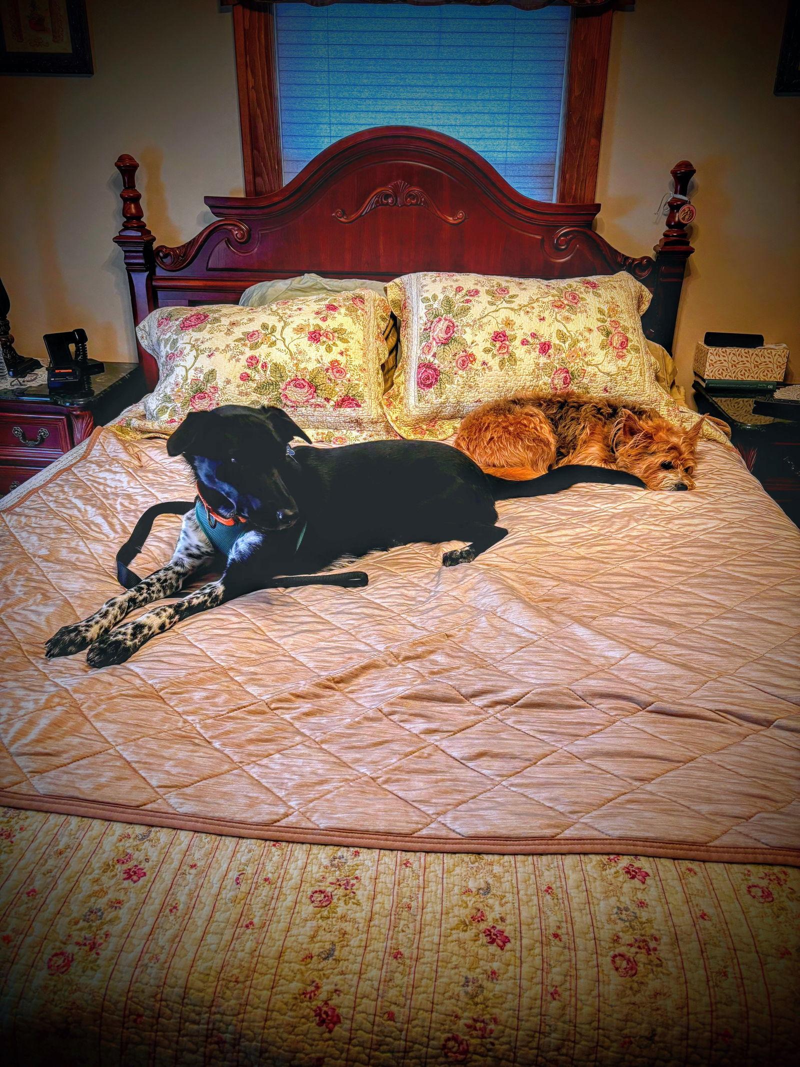 Molly Mae Lonestar thumbnail 2