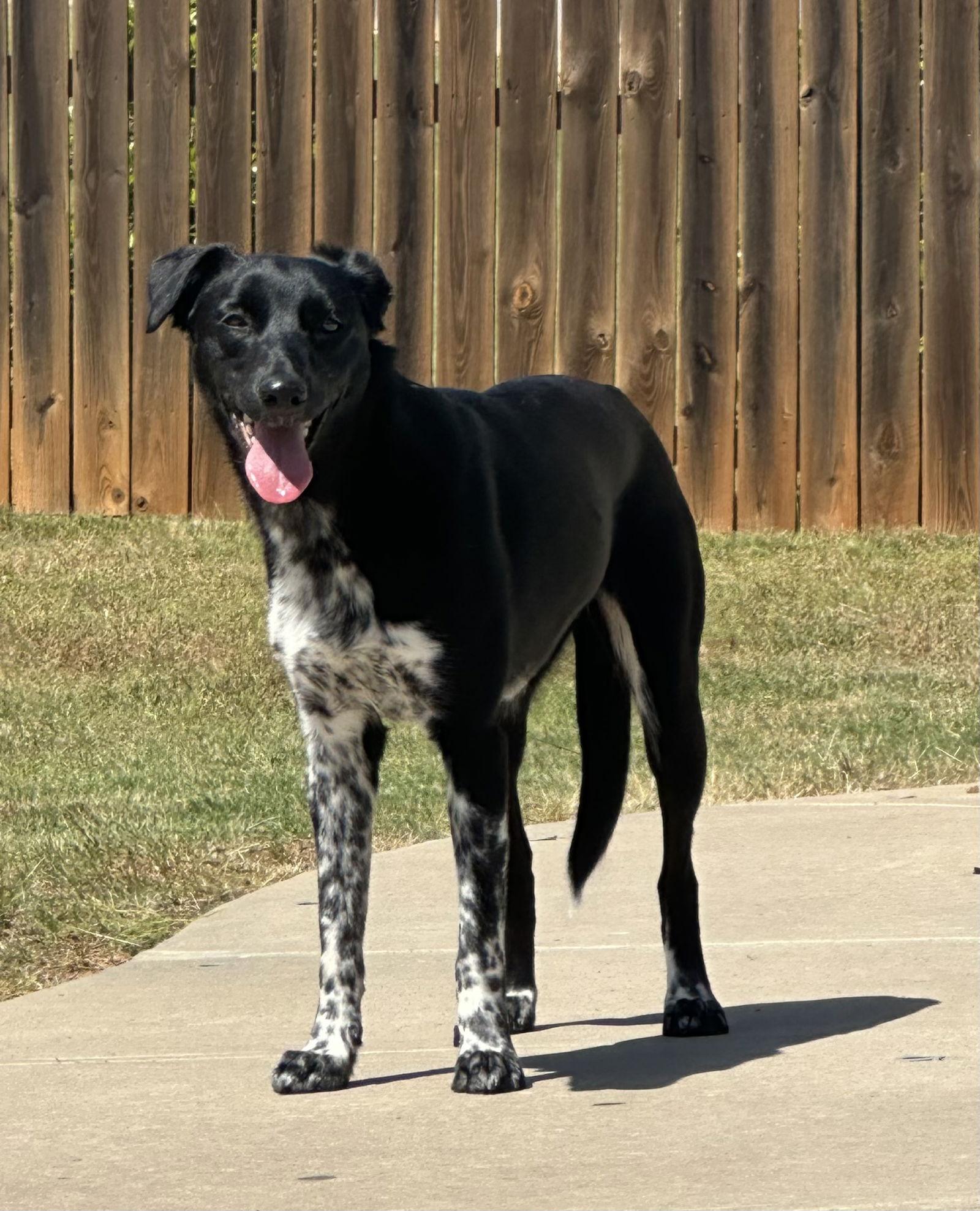 Molly Mae Lonestar thumbnail 3