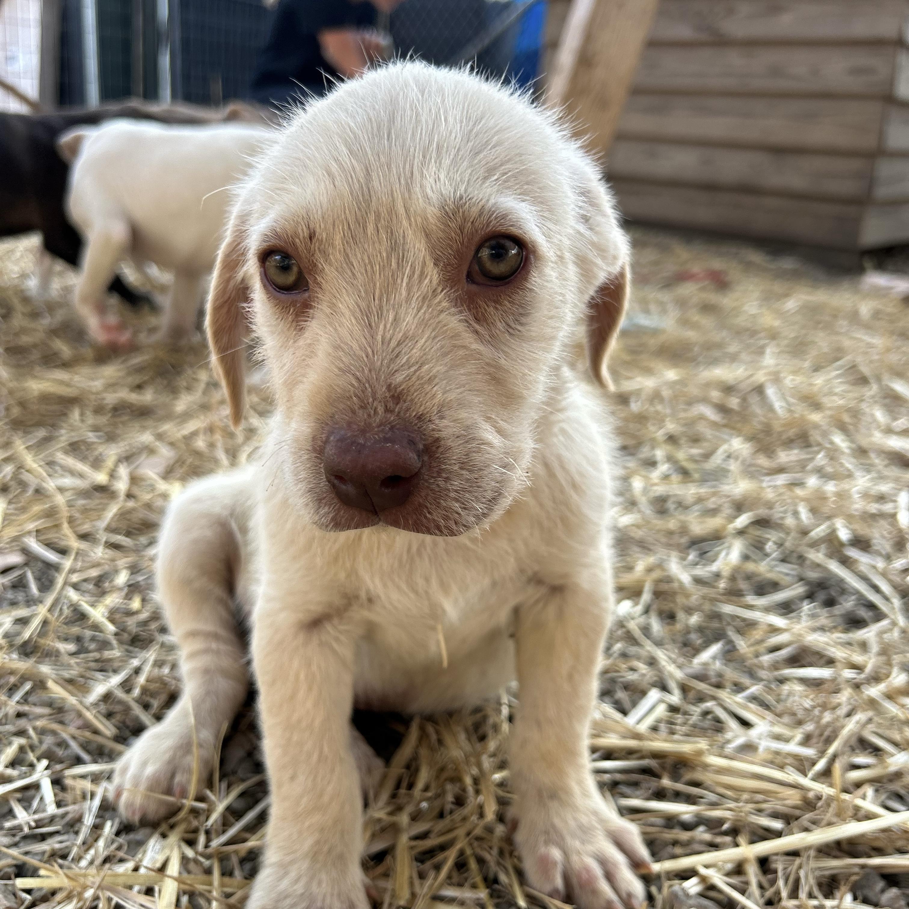 Transmission — thumbnail 2