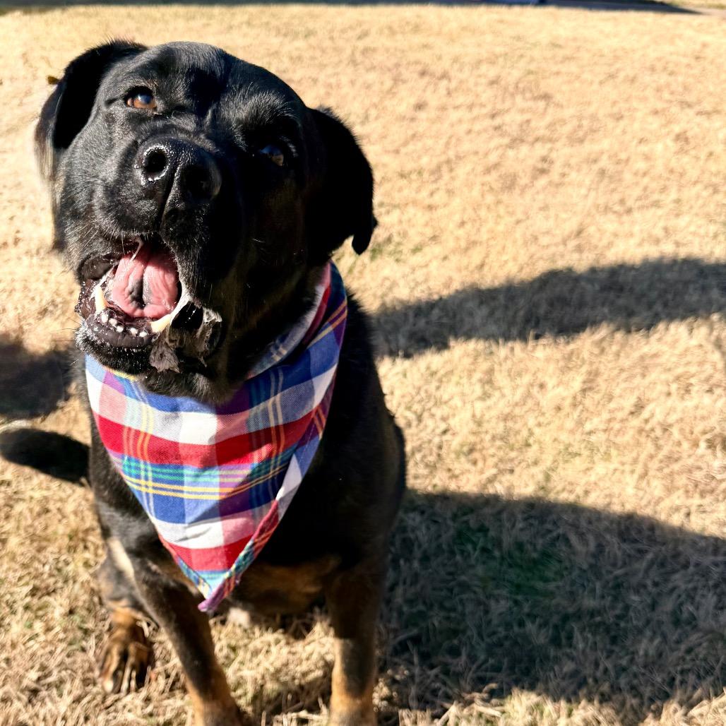 Andrew — thumbnail 2