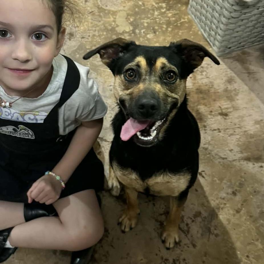 Enlarge Page, a ADOPTABLE mixed breed in Aspen, CO image 2/6