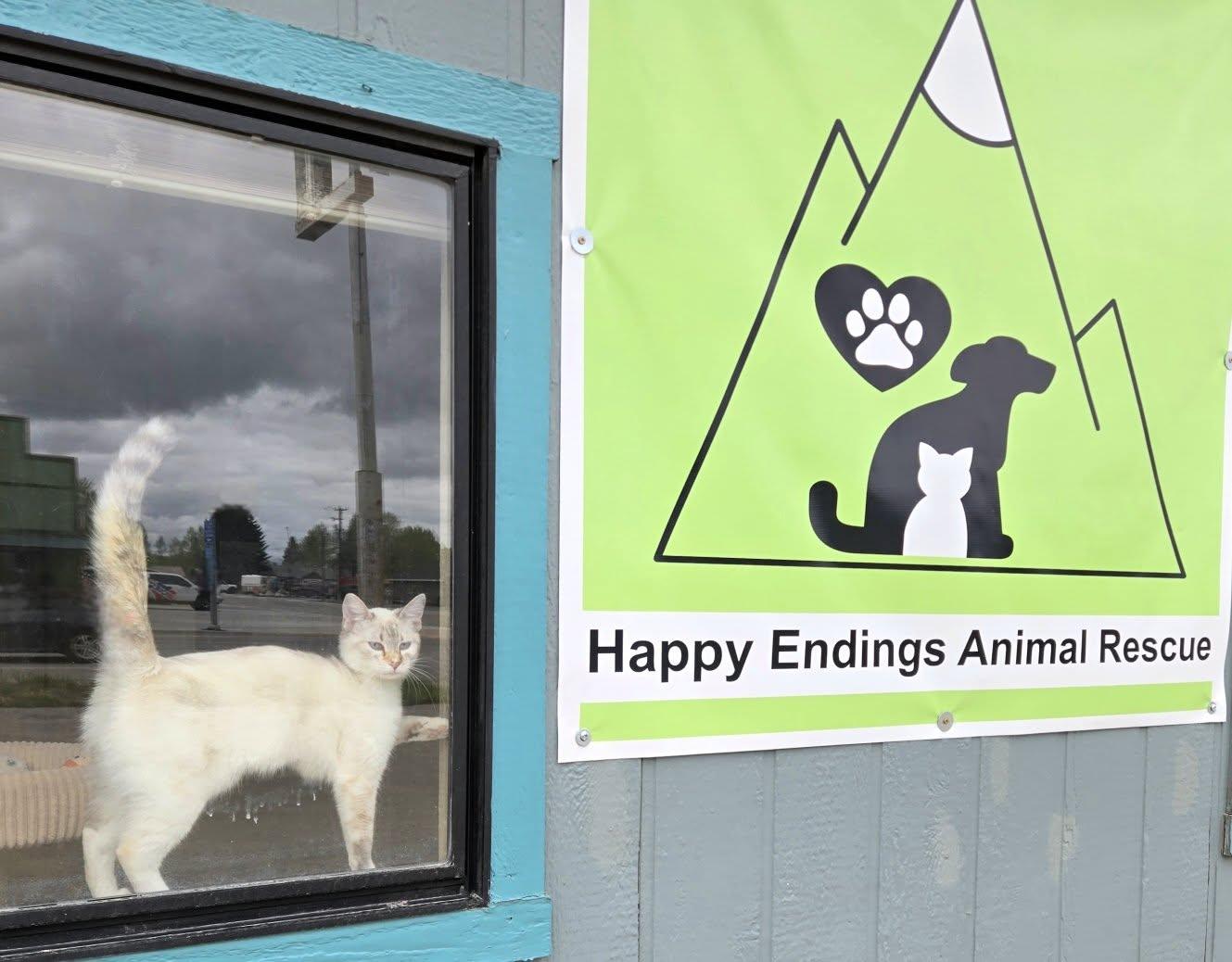 Enlarge GYPSY, a ADOPTABLE mixed breed in Pinedale, WY image 2/5