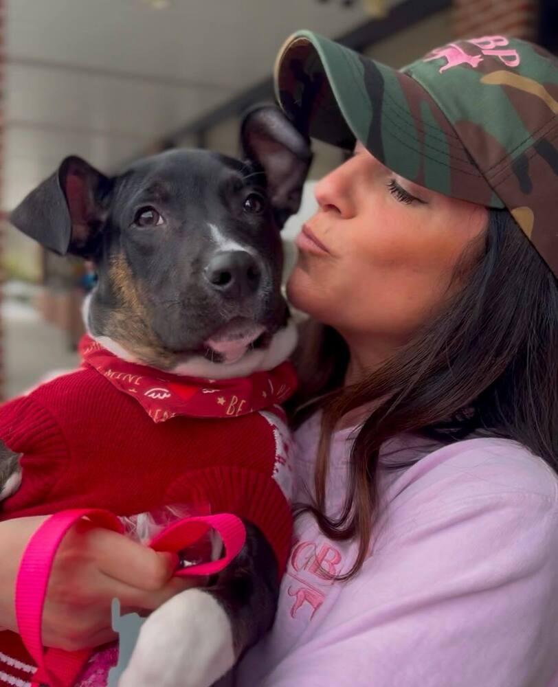 Jacks, a Adoptable mixed breed in Saugus, MA image 1/6