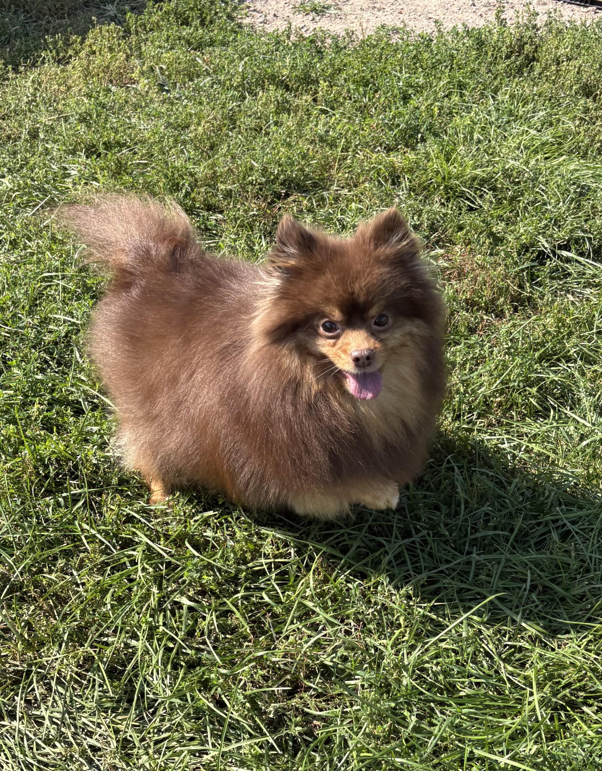 Addie