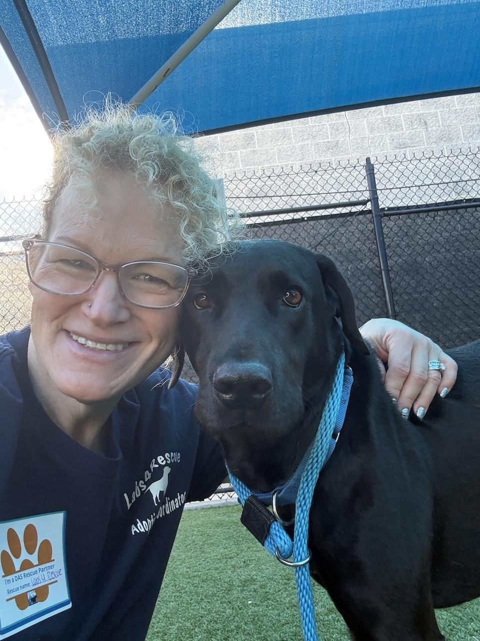 Draco #3, a ADOPTABLE mixed breed in Killingworth, CT image 2/5