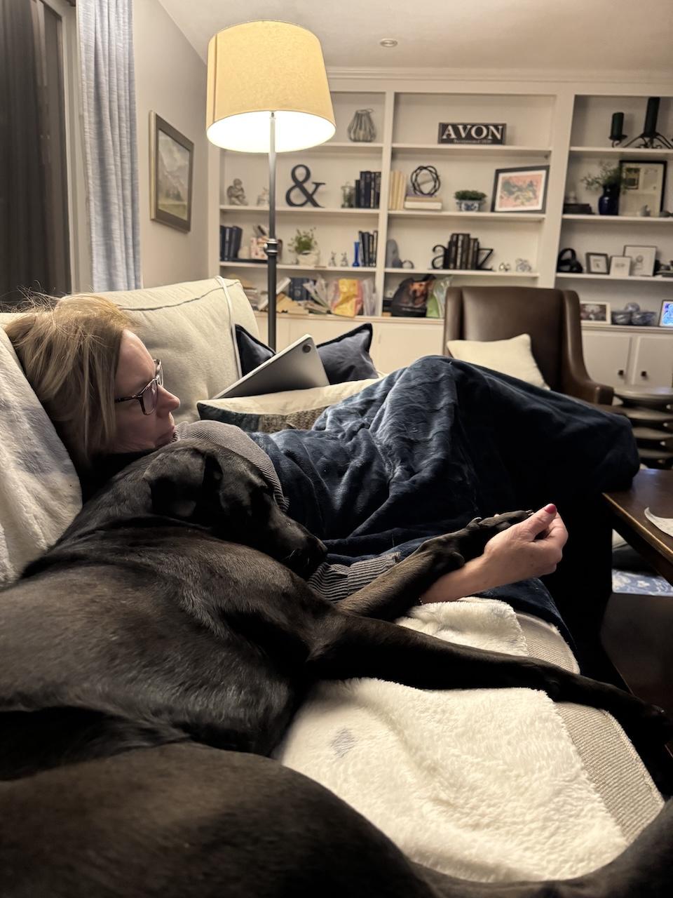 Enlarge Draco #3, a ADOPTABLE mixed breed in Killingworth, CT image 5/5