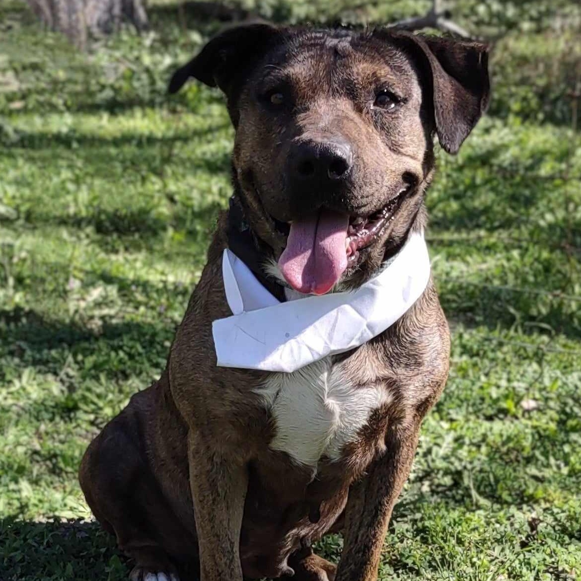 Susie — thumbnail 3