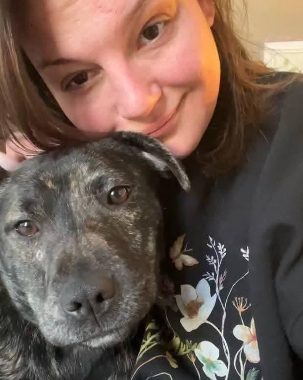 Enlarge Paisley , a ADOPTABLE American Staffordshire Terrier in Ferndale, MI image 3/6