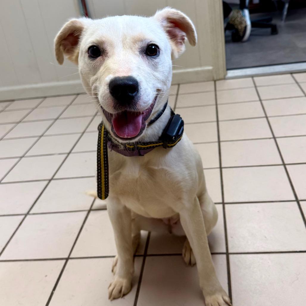 Doll — thumbnail 2