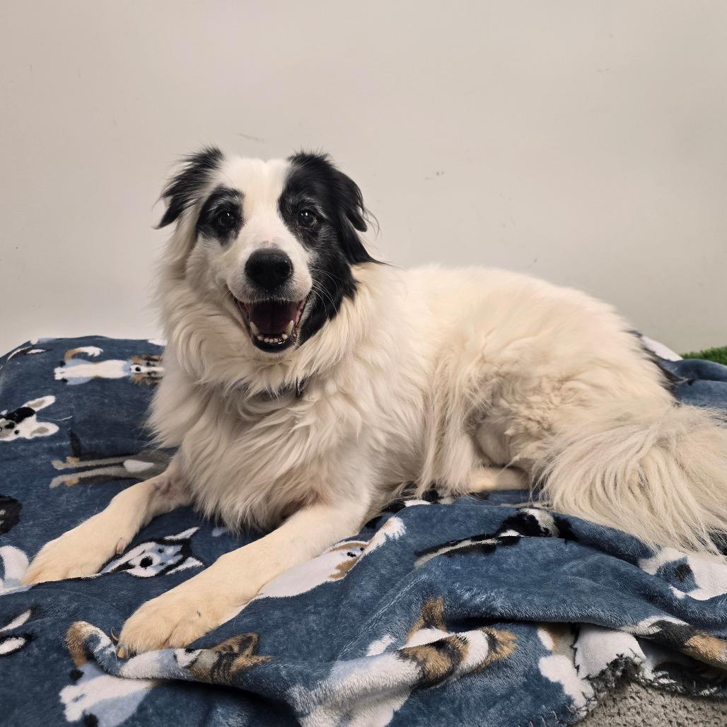 Grace — thumbnail 5