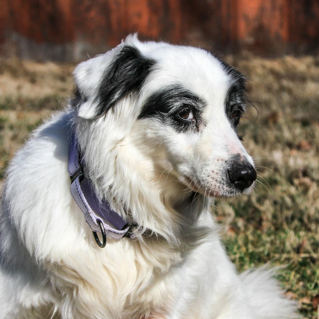 Grace — thumbnail 6