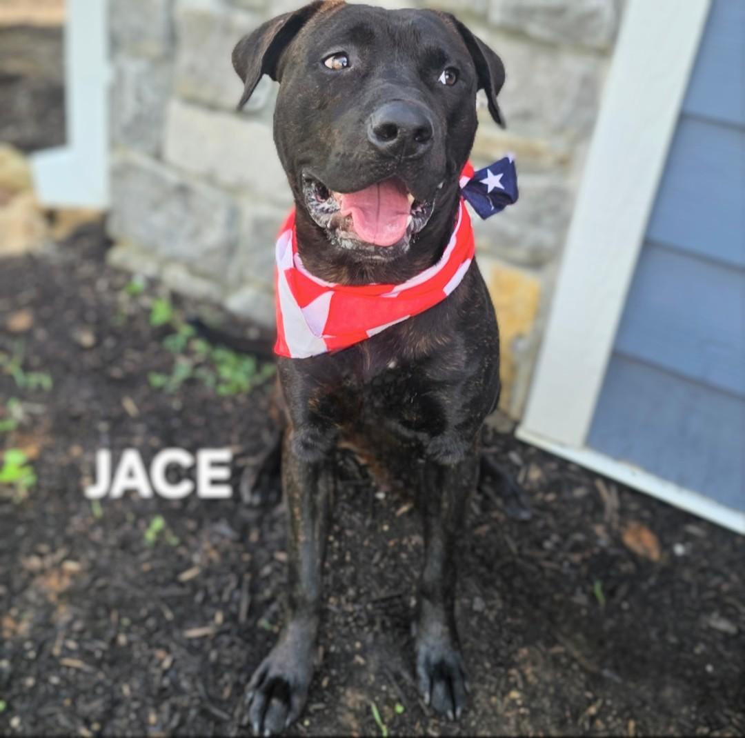 Jace - URGENT! URGENT!! URGENT!!! photo 3