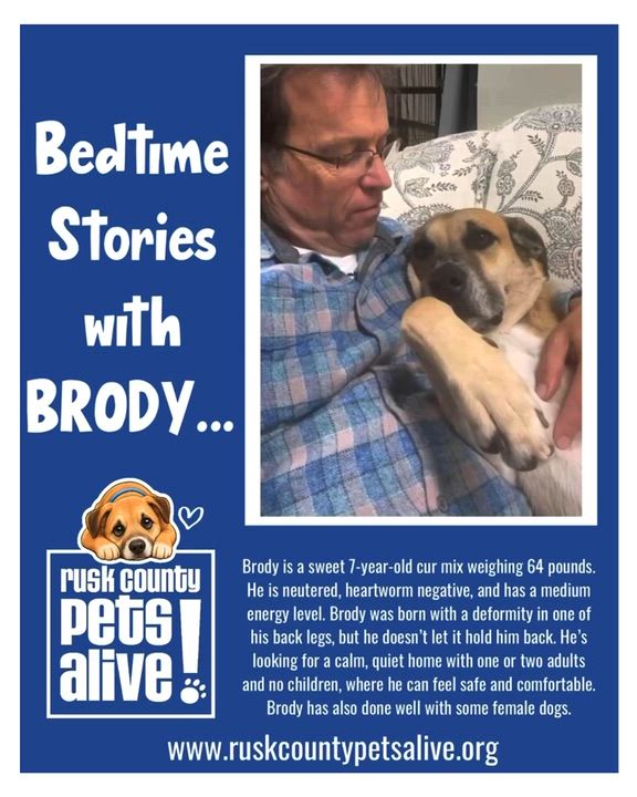 Enlarge Brody, a Adoptable Black Mouth Cur in Henderson, TX video 6/6