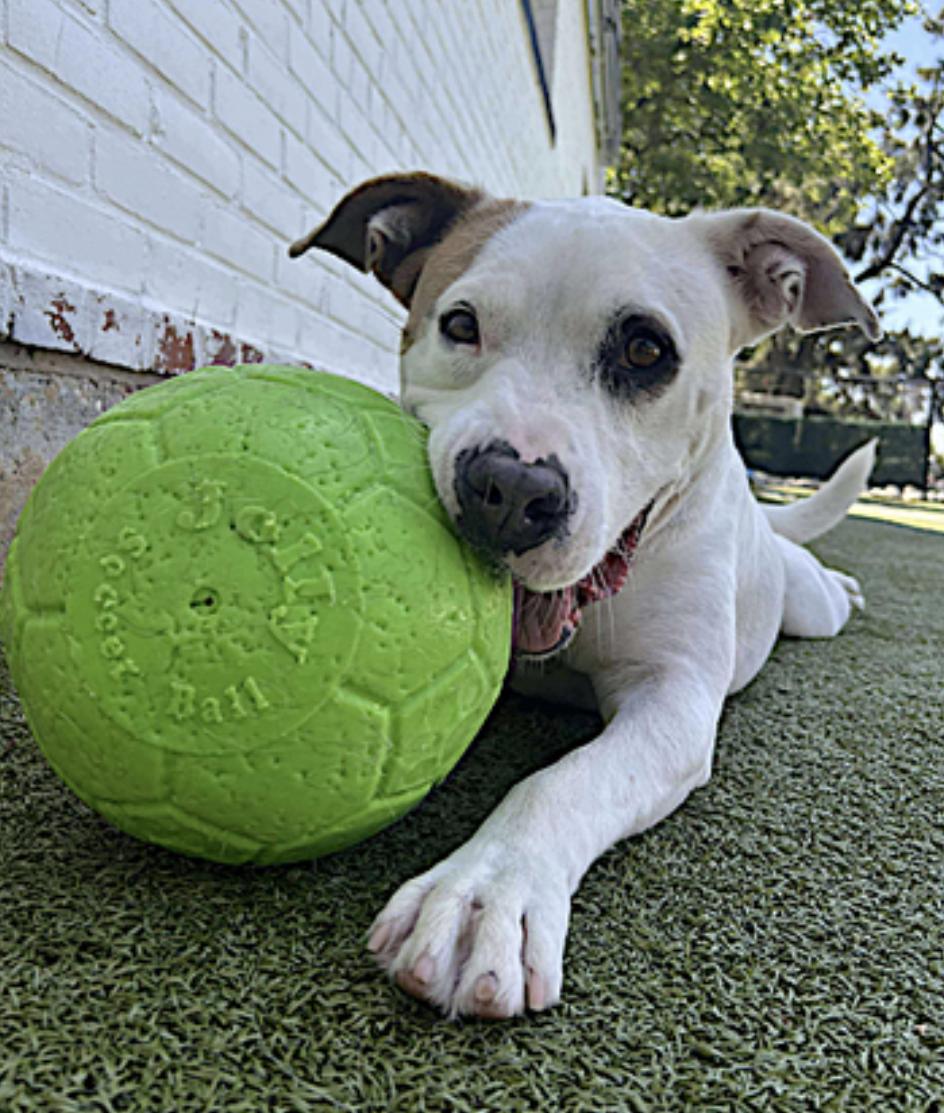 Bryce — thumbnail 4