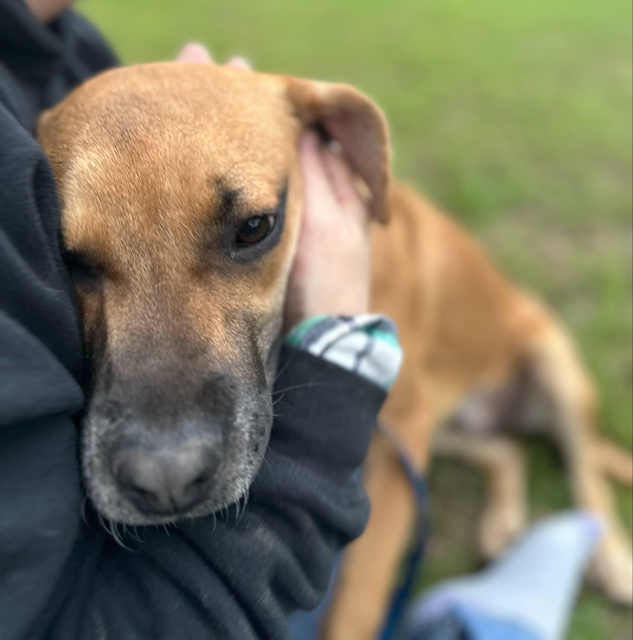 Georgia photo 4