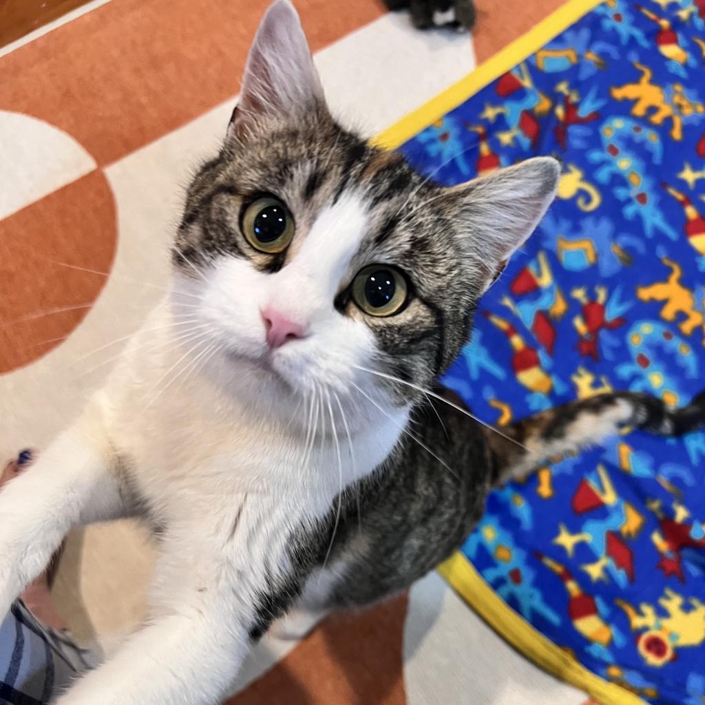 Mama Suey thumbnail 2