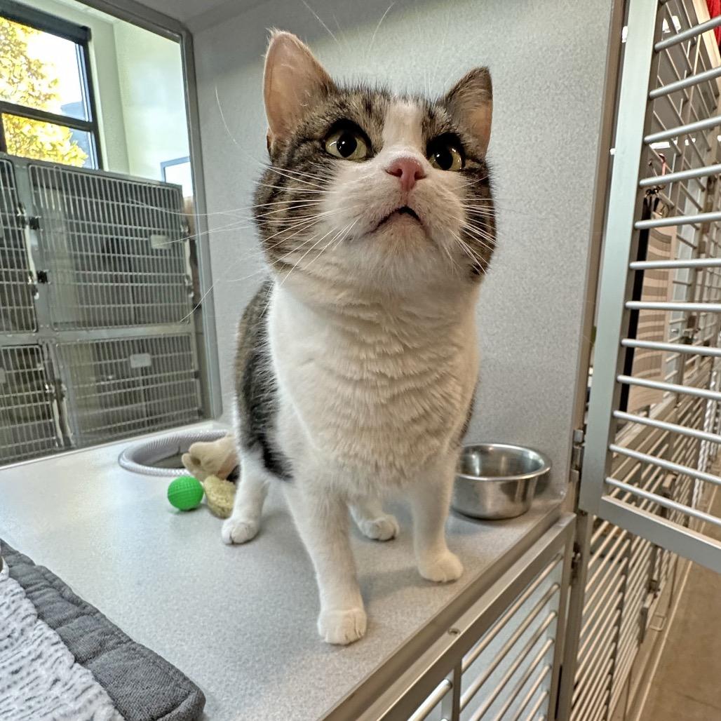 Mama Suey thumbnail 7