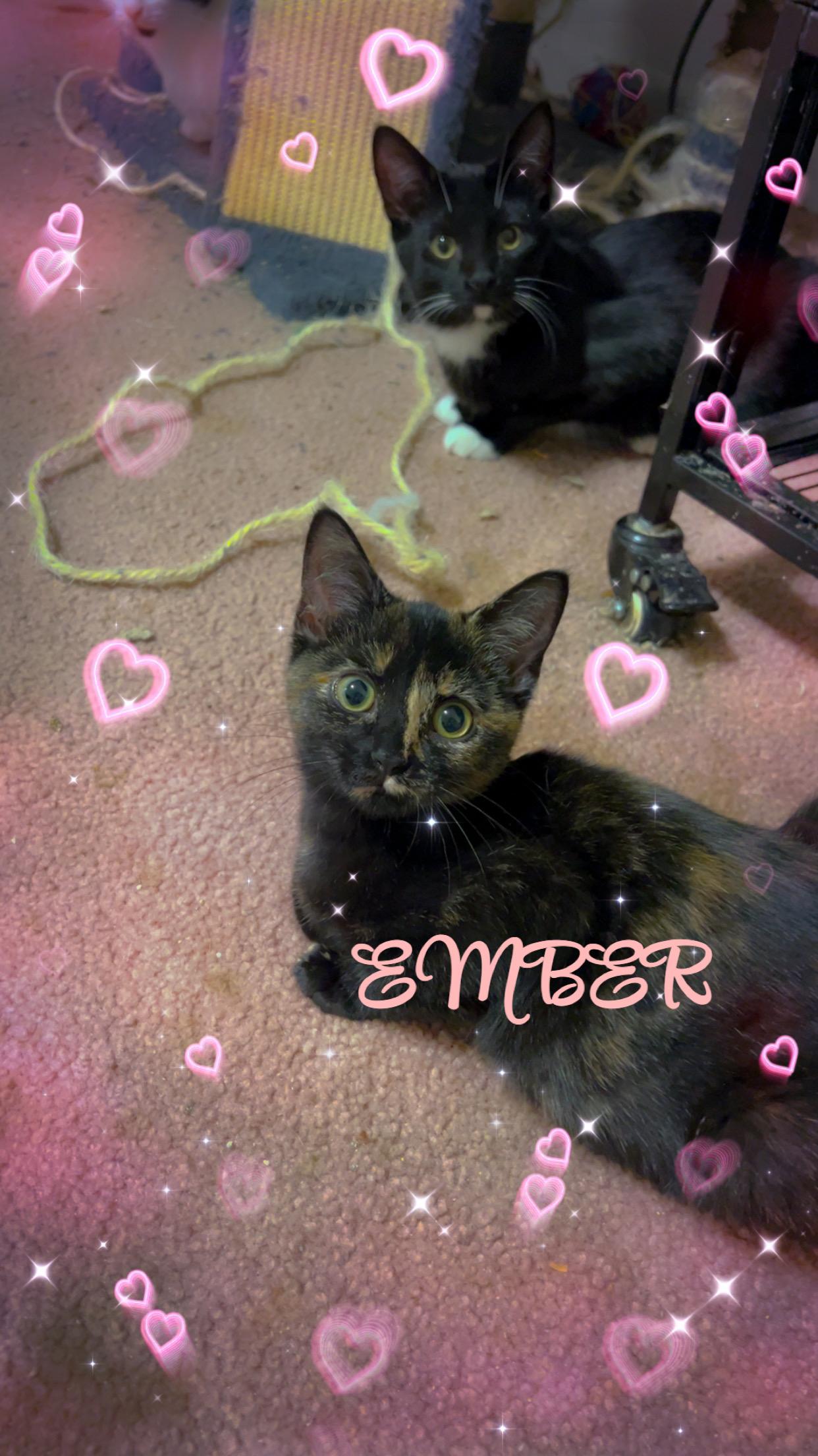 Ember