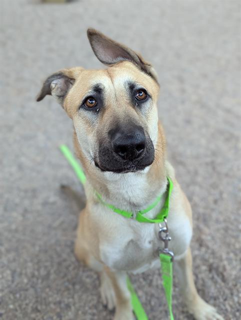 PENNSY* — thumbnail 2