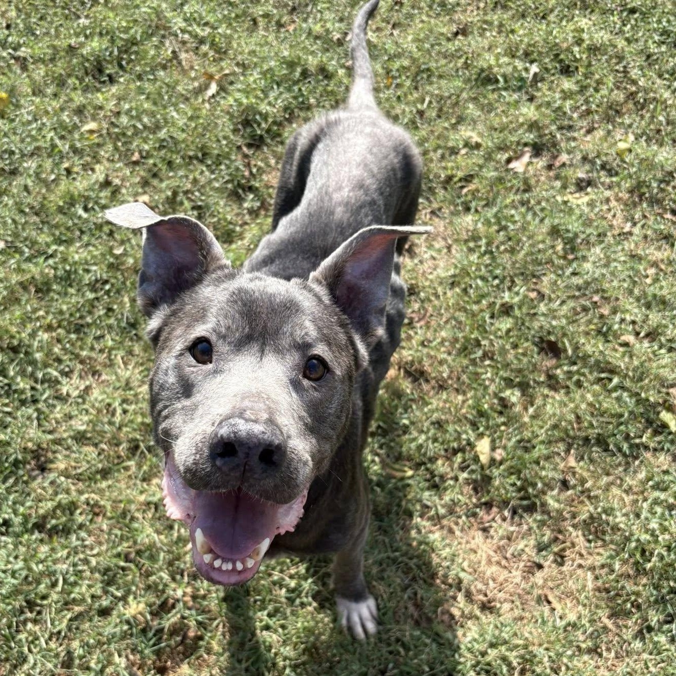 Ella Mae — thumbnail 2