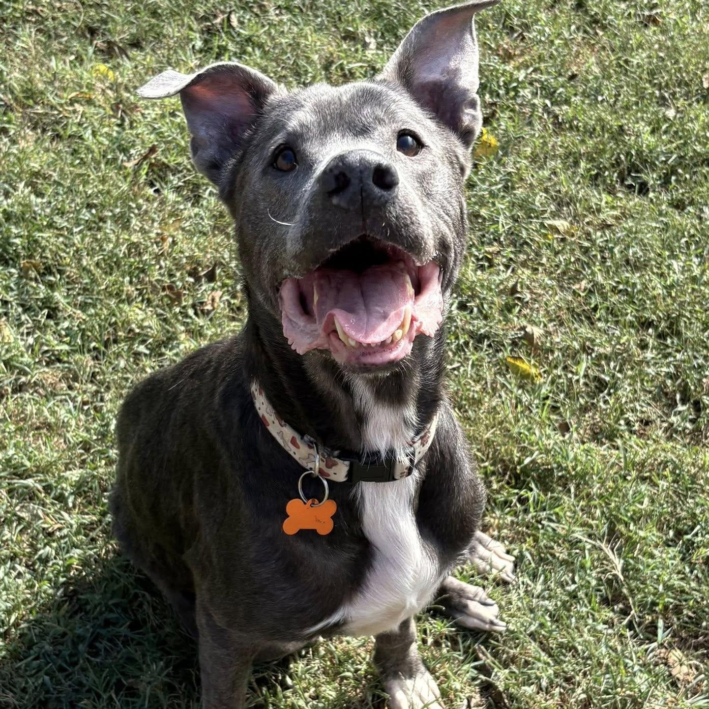 Ella Mae — thumbnail 3