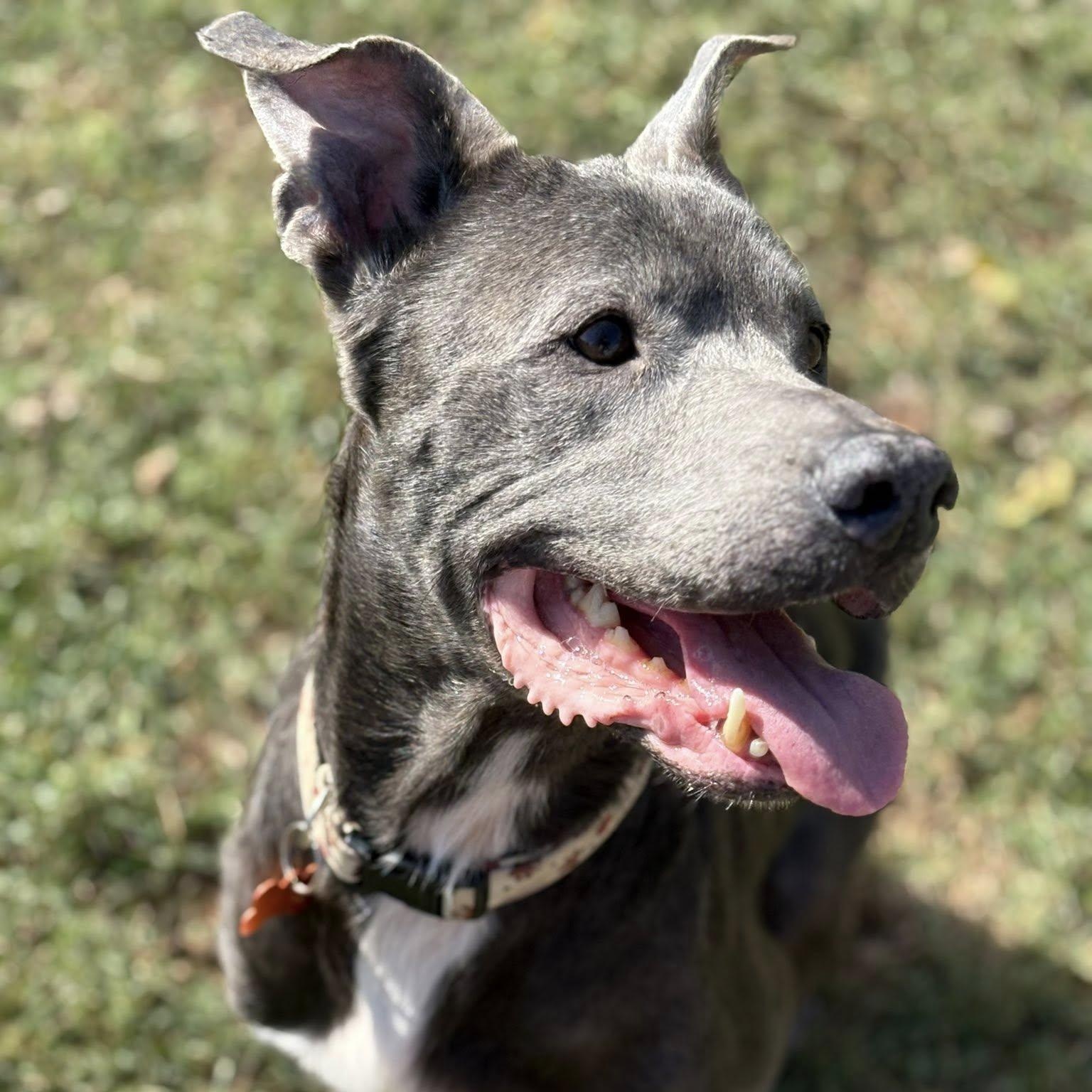 Ella Mae — thumbnail 6