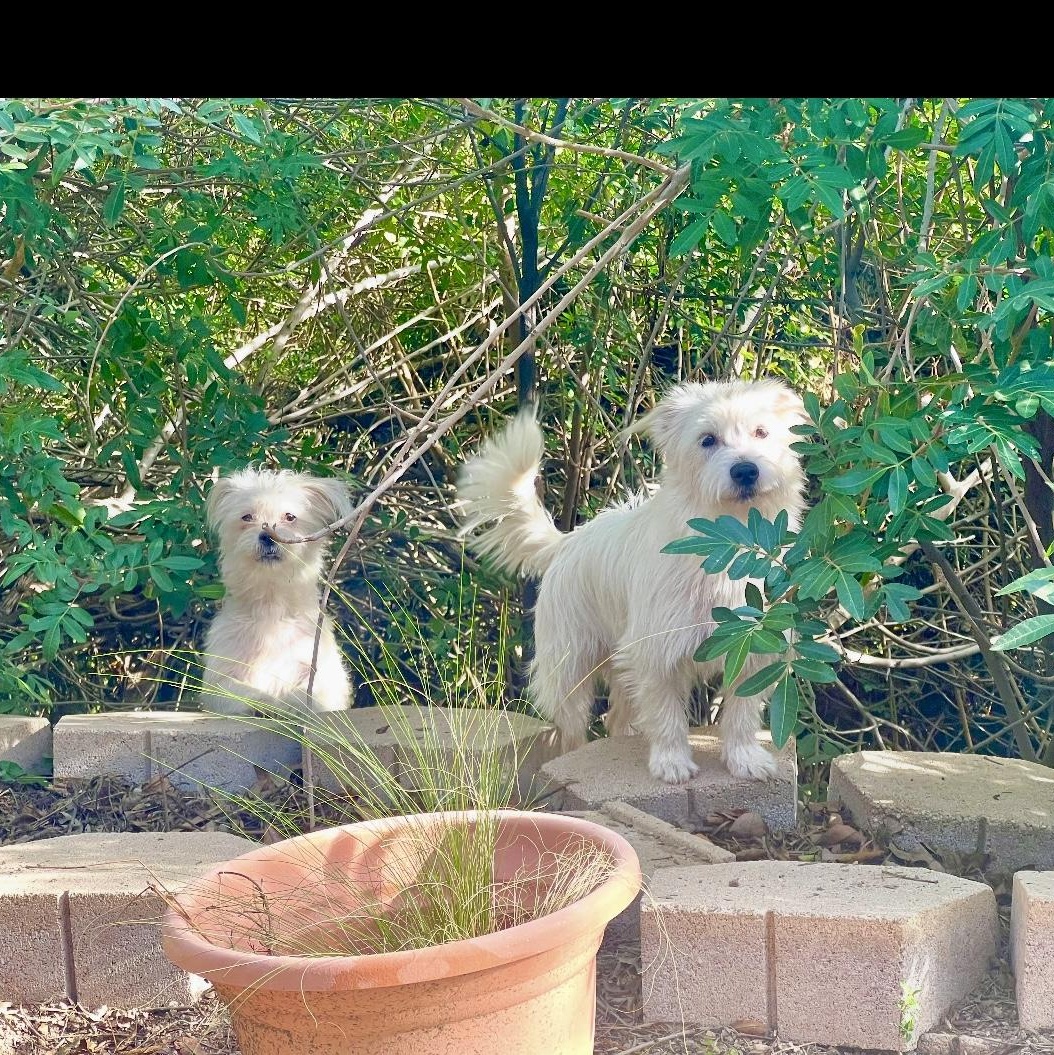 Benji & Amber