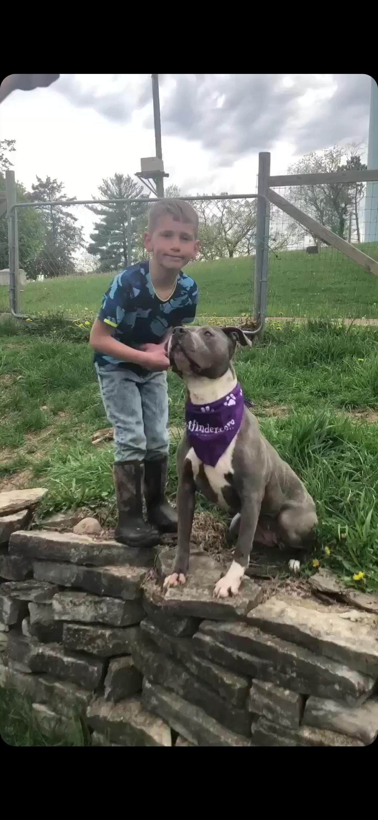 Enlarge Molly, an adopted mixed breed in Fort atkinson, WI image 3/6