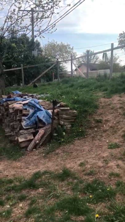 Enlarge Molly, an adopted mixed breed in Fort atkinson, WI video 6/6