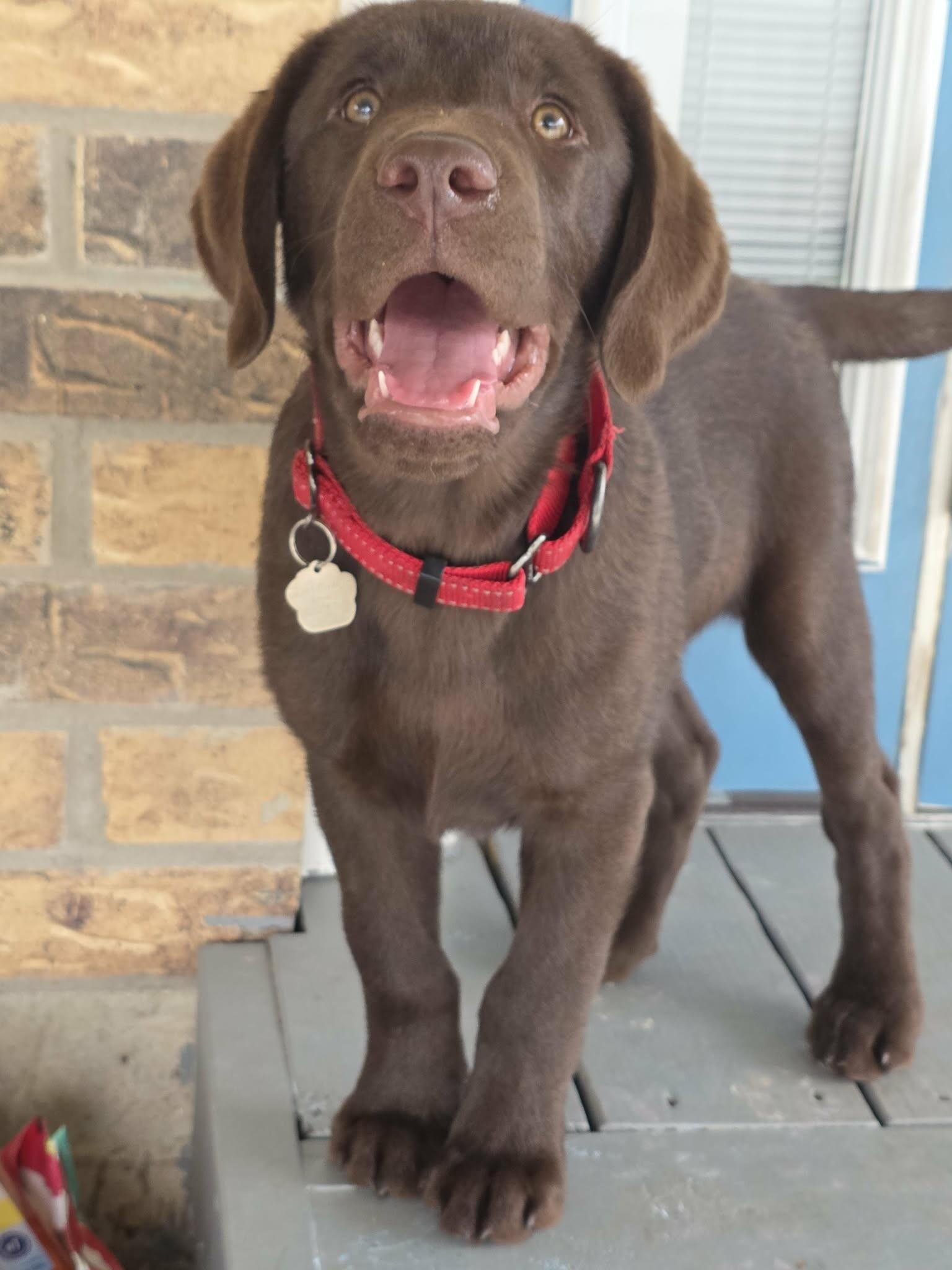 Espresso Coffee — thumbnail 2