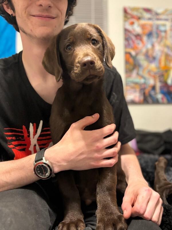 Espresso Coffee — thumbnail 3