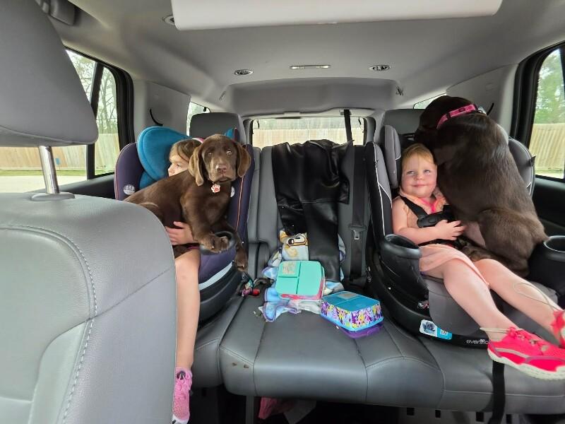 Espresso Coffee — thumbnail 4