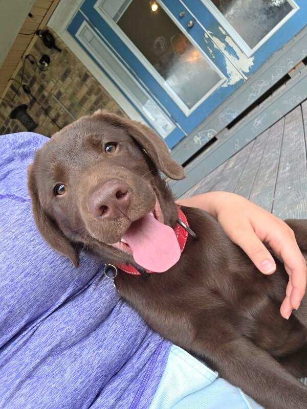 Espresso Coffee — thumbnail 5