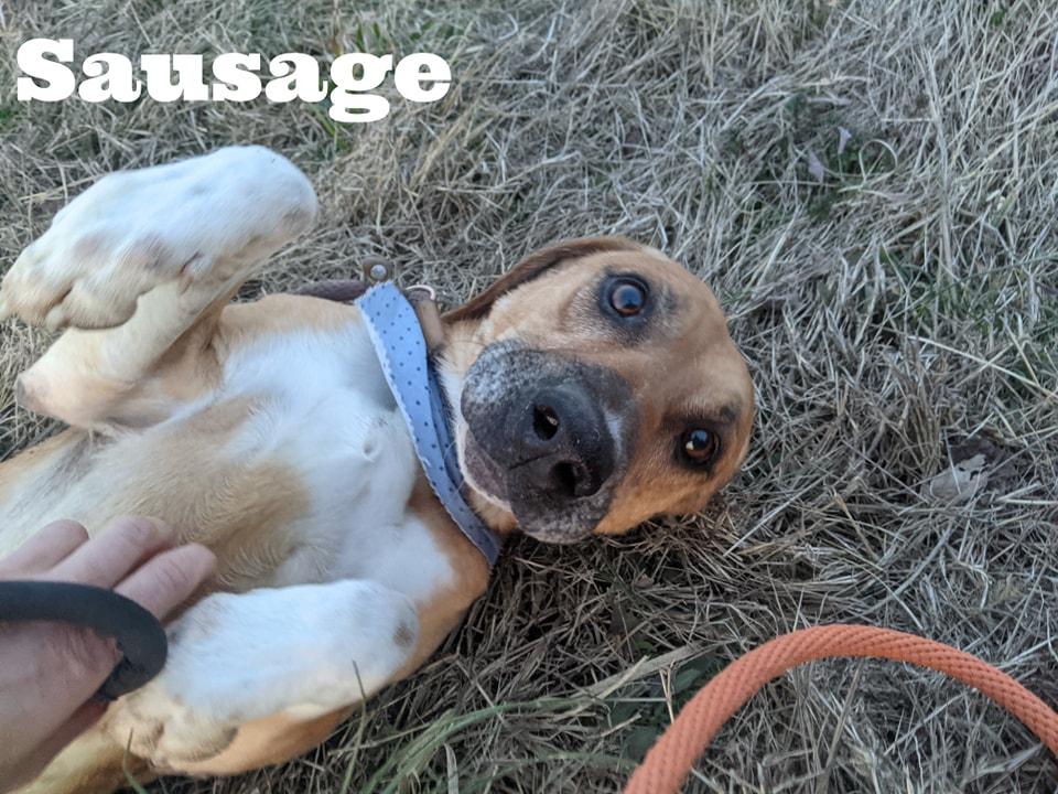 Sausage