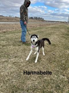 Hannabelle