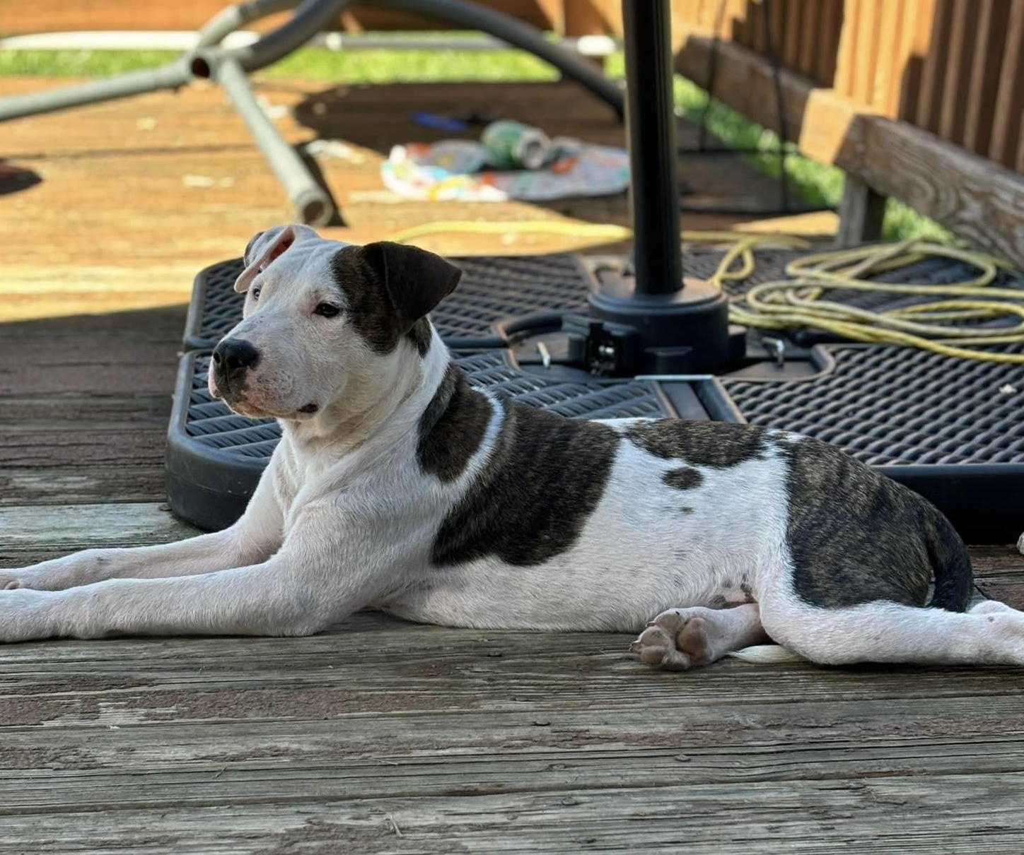 Lil Meechi photo 3