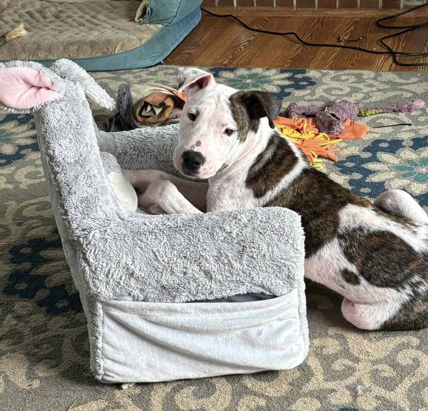 Lil Meechi photo 4