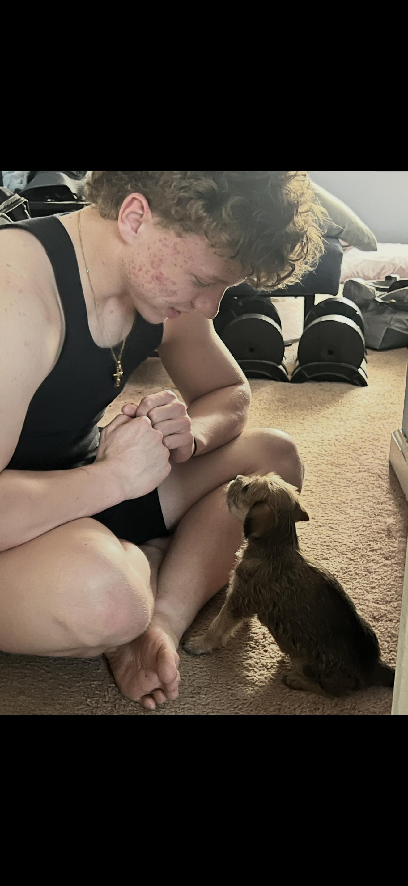 Enlarge Ginger, a ADOPTABLE mixed breed in HONEY BROOK, PA image 5/6