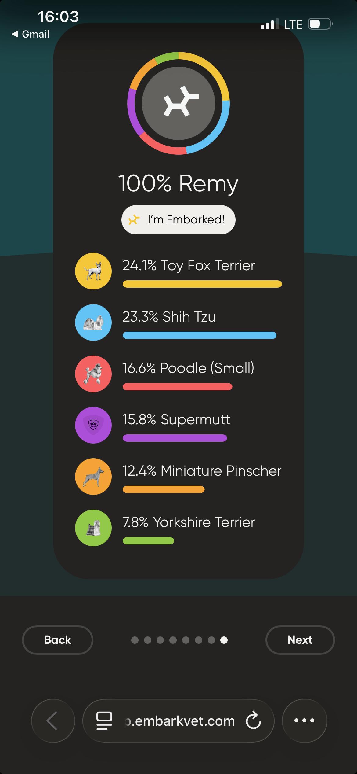 Remi, a Adoptable mixed breed in Arcadia, FL image 2/6