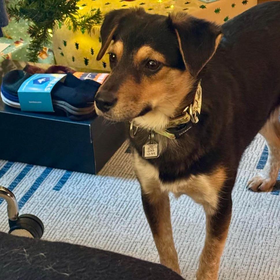 Sarah Lake — thumbnail 2