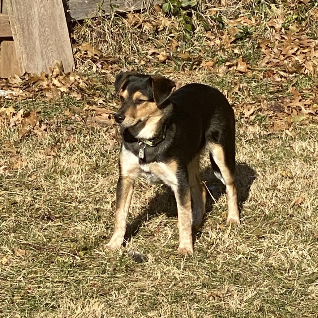 Sarah Lake — thumbnail 3