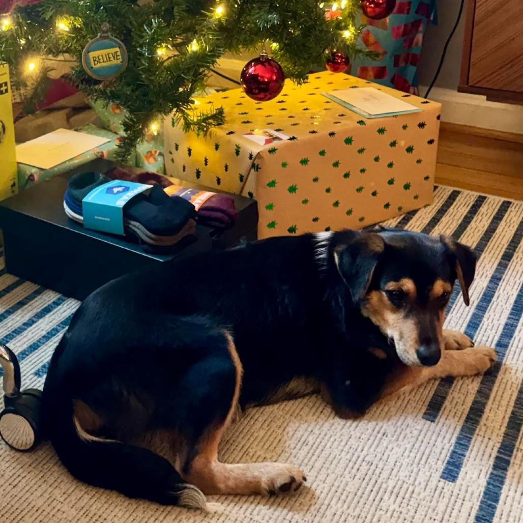 Sarah Lake — thumbnail 4